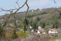 Nagybakˇnaki-tßjkÚpek-038