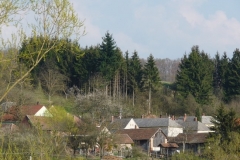 Nagybakˇnaki-tßjkÚpek-050