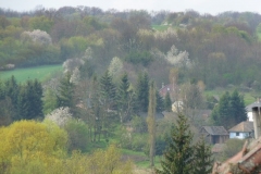 Nagybakˇnaki-tßjkÚpek-060