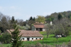 Nagybakˇnaki-tßjkÚpek-066