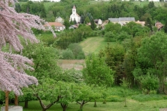 Nagybakˇnaki-tßjkÚpek-073
