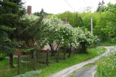 Nagybakˇnaki-tßjkÚpek-082