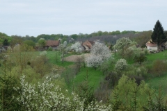 prilis-009 prilis-009