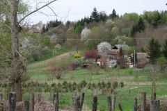 prilis-010 prilis-010